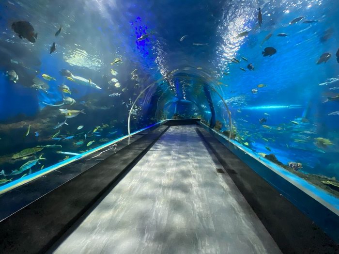 海洋馆设计&施工