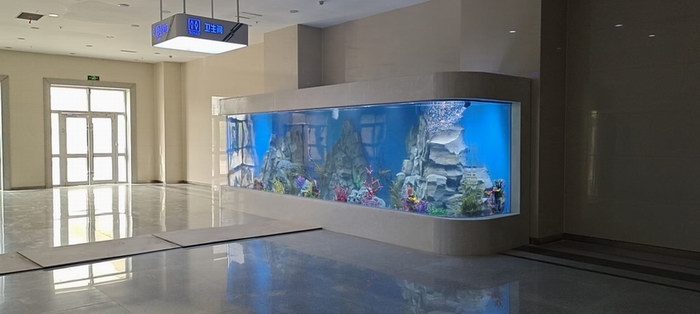 鱼缸维护