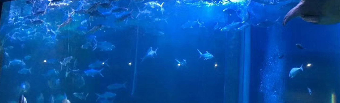 1663304858455663.jpg company_img.jpg